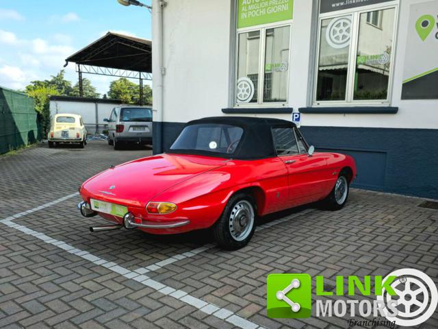 ALFA ROMEO Spider usata 6