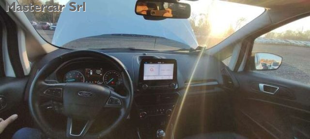 FORD EcoSport usata, con Fendinebbia