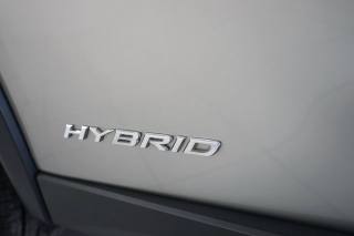 LEXUS UX 250h usata, con Sensore di pioggia