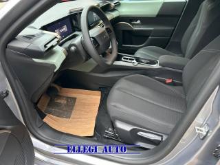 LANCIA Ypsilon usata, con ESP
