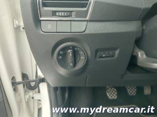 SKODA Fabia usata 22
