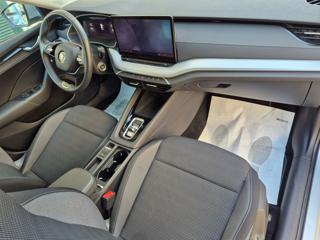 SKODA Octavia usata, con Controllo trazione