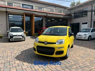 FIAT Pandina usata, con Airbag