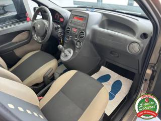 FIAT Panda usata, con Fendinebbia