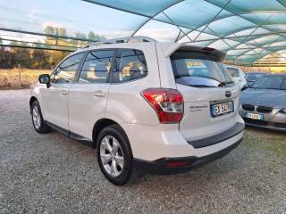 SUBARU Forester usata, con Airbag laterali