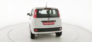 FIAT Panda usata 30