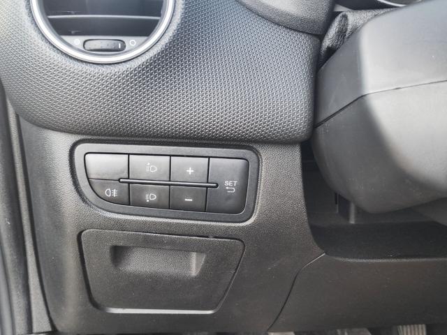 FIAT Punto usata 22
