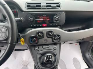 FIAT New Panda usata, con Fendinebbia