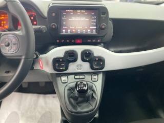 FIAT Panda Cross usata, con Vivavoce