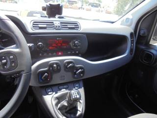 FIAT Panda usata 29