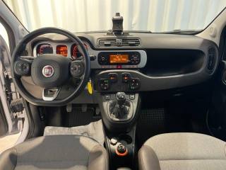 FIAT Panda Cross usata, con Antifurto