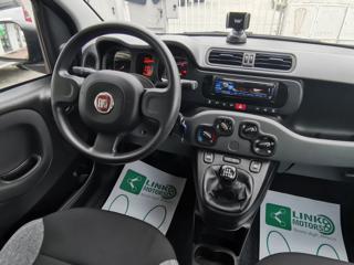 FIAT Panda usata 16