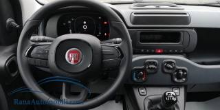 FIAT Panda usata, con Antifurto