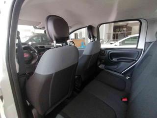 FIAT Panda usata 25