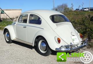 VOLKSWAGEN Maggiolino usata 6