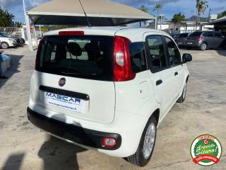 FIAT Panda usata, con Airbag Passeggero
