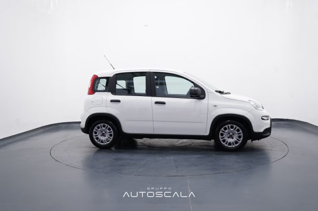 FIAT New Panda usata, con Chiusura centralizzata