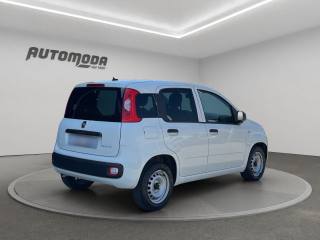 FIAT Panda usata, con Antifurto