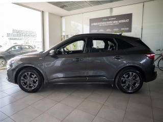 FORD Kuga usata, con Regolazione elettrica sedili