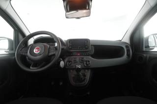 FIAT Panda usata 11