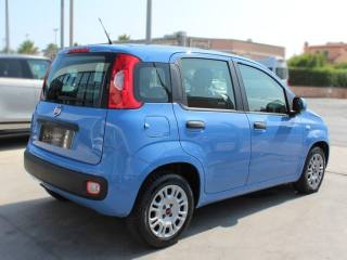 FIAT Panda usata, con Alzacristalli elettrici