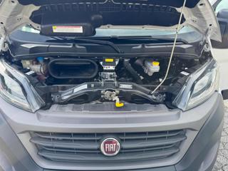 FIAT Ducato usata 21