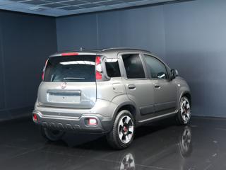 FIAT Panda Cross usata, con Alzacristalli elettrici