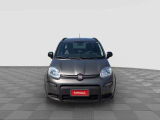 FIAT Panda usata 7