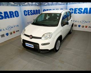 FIAT New Panda usata, con Airbag laterali