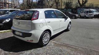FIAT Punto Evo usata, con Airbag Passeggero