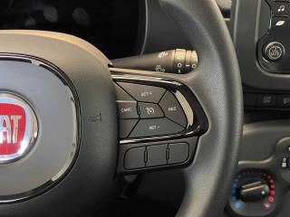 FIAT Panda usata 20
