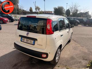 FIAT Panda usata, con Immobilizzatore elettronico