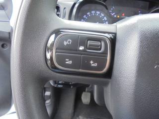 CITROEN C3 usata 25