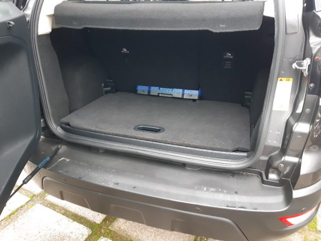 FORD EcoSport usata, con Touch screen