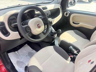 FIAT Panda usata, con Servosterzo