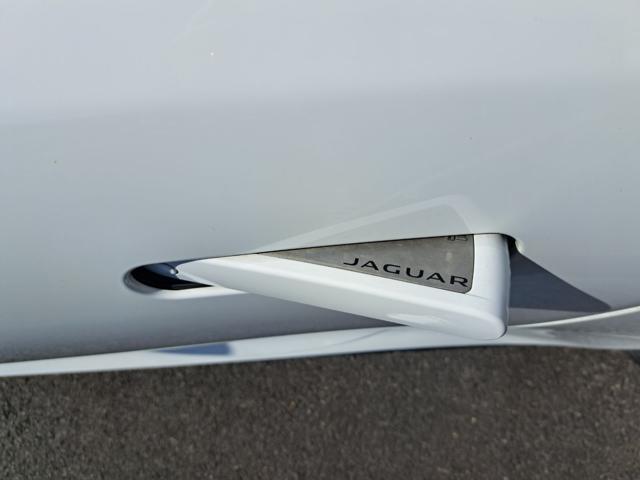 JAGUAR F-Type usata 44