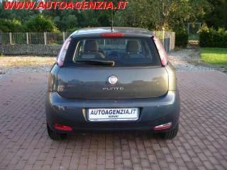 FIAT Punto usata 5