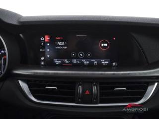 ALFA ROMEO Stelvio usata 13