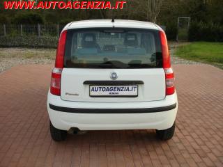 FIAT Panda usata 6