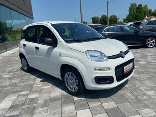 FIAT Panda usata, con Alzacristalli elettrici