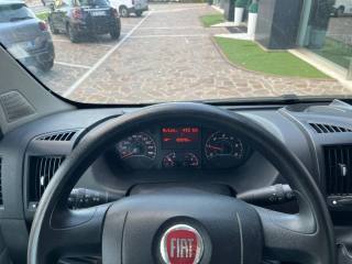 FIAT Ducato usata, con Filtro antiparticolato