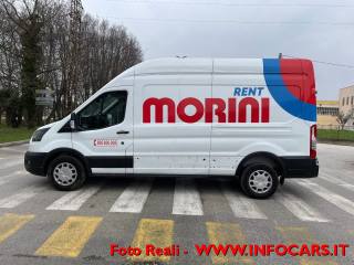 FORD Transit usata, con Fendinebbia