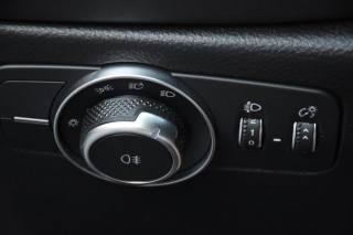 ALFA ROMEO Tonale usata, con Fari LED