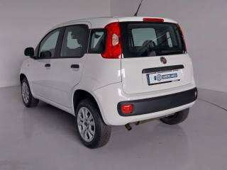 FIAT Panda usata, con Cronologia tagliandi
