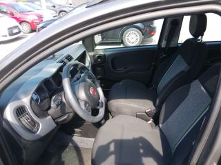 FIAT Panda Cross usata, con Climatizzatore