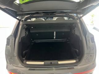 DS AUTOMOBILES DS 7 usata, con Controllo vocale