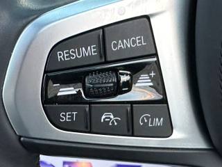 BMW 420 usata, con Fendinebbia