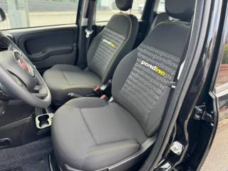 FIAT Panda usata, con Cruise Control