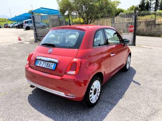 FIAT 500 usata 4