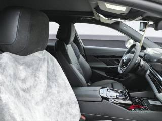BMW 520 usata 8